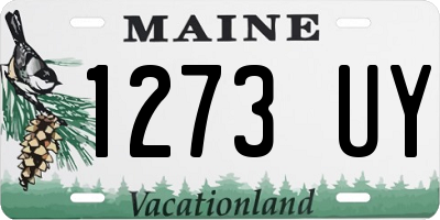ME license plate 1273UY
