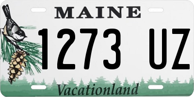 ME license plate 1273UZ
