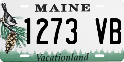 ME license plate 1273VB