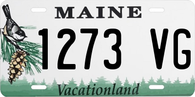 ME license plate 1273VG