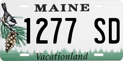 ME license plate 1277SD