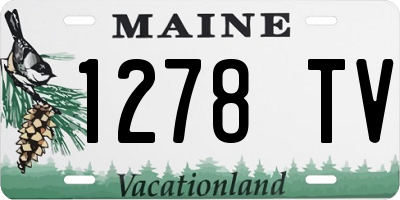 ME license plate 1278TV