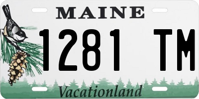 ME license plate 1281TM