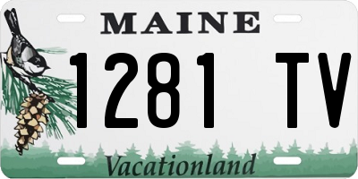 ME license plate 1281TV