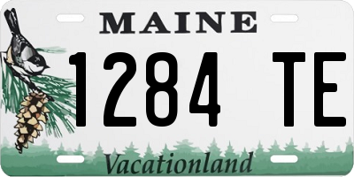 ME license plate 1284TE