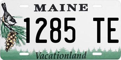 ME license plate 1285TE