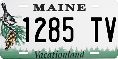 ME license plate 1285TV