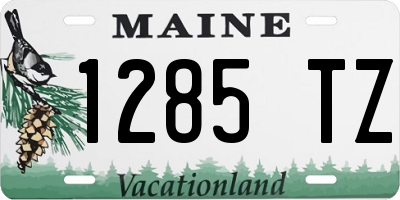 ME license plate 1285TZ