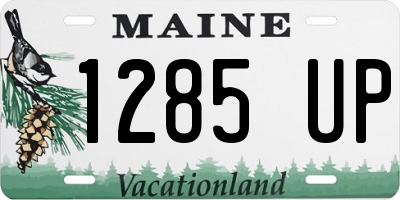 ME license plate 1285UP