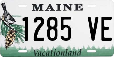 ME license plate 1285VE
