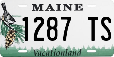 ME license plate 1287TS