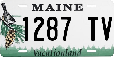 ME license plate 1287TV