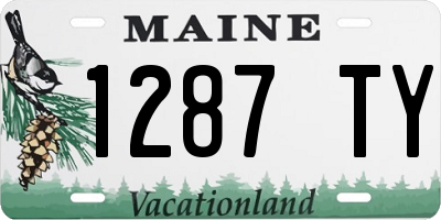 ME license plate 1287TY