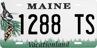 ME license plate 1288TS