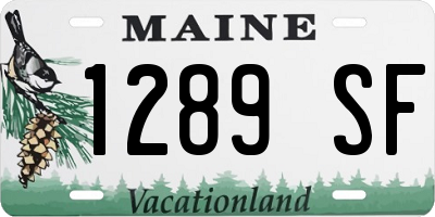 ME license plate 1289SF