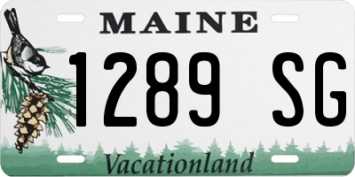 ME license plate 1289SG