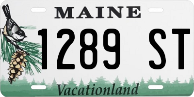 ME license plate 1289ST