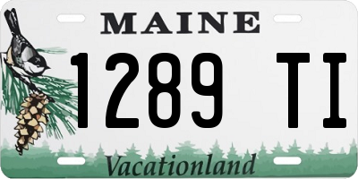 ME license plate 1289TI