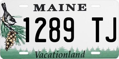 ME license plate 1289TJ