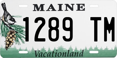 ME license plate 1289TM