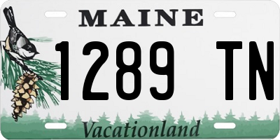 ME license plate 1289TN