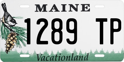 ME license plate 1289TP