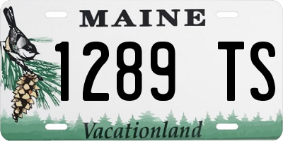 ME license plate 1289TS