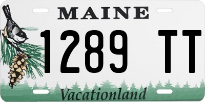 ME license plate 1289TT