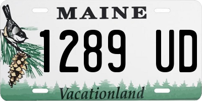 ME license plate 1289UD