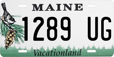ME license plate 1289UG