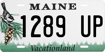ME license plate 1289UP