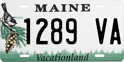 ME license plate 1289VA