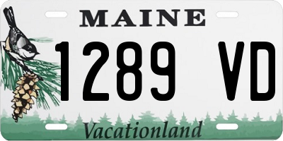 ME license plate 1289VD