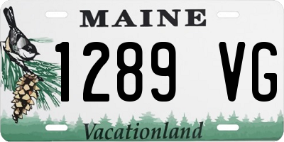 ME license plate 1289VG