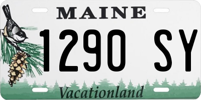 ME license plate 1290SY