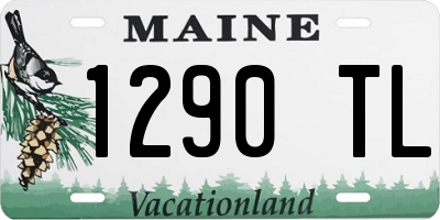 ME license plate 1290TL