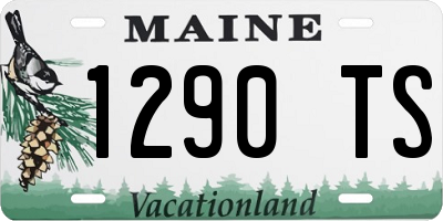 ME license plate 1290TS