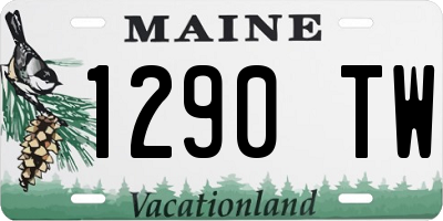 ME license plate 1290TW