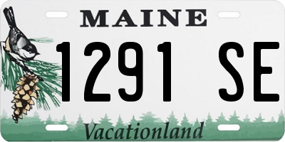 ME license plate 1291SE