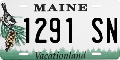 ME license plate 1291SN