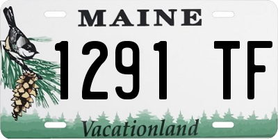ME license plate 1291TF