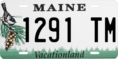 ME license plate 1291TM