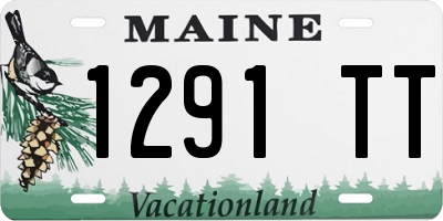 ME license plate 1291TT