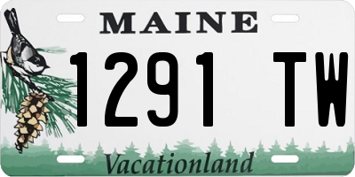 ME license plate 1291TW