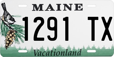 ME license plate 1291TX