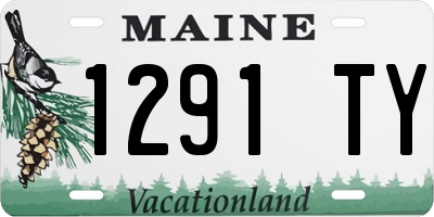 ME license plate 1291TY