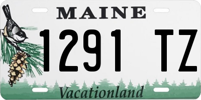 ME license plate 1291TZ