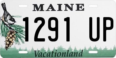 ME license plate 1291UP
