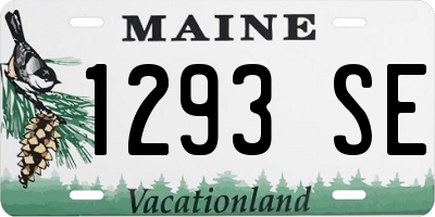 ME license plate 1293SE