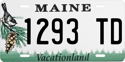 ME license plate 1293TD